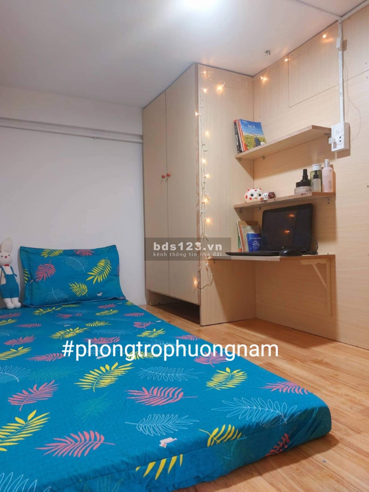 Phòng trọ Phú Mỹ Hưng, lotte, khu chế xuất, gần rmit, tdt, ufm