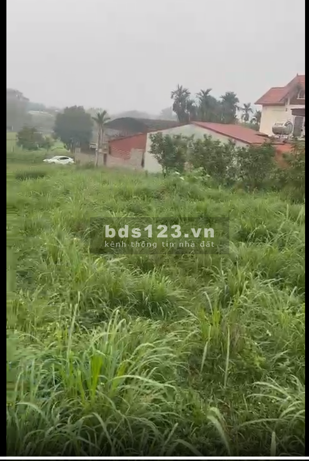 1315m2 Tản Lĩnh, Ba Vì, HN, 500m ra QL 87A, cuối đại lộ Thăng Long kéo dài, chính chủ bán giá gốc
