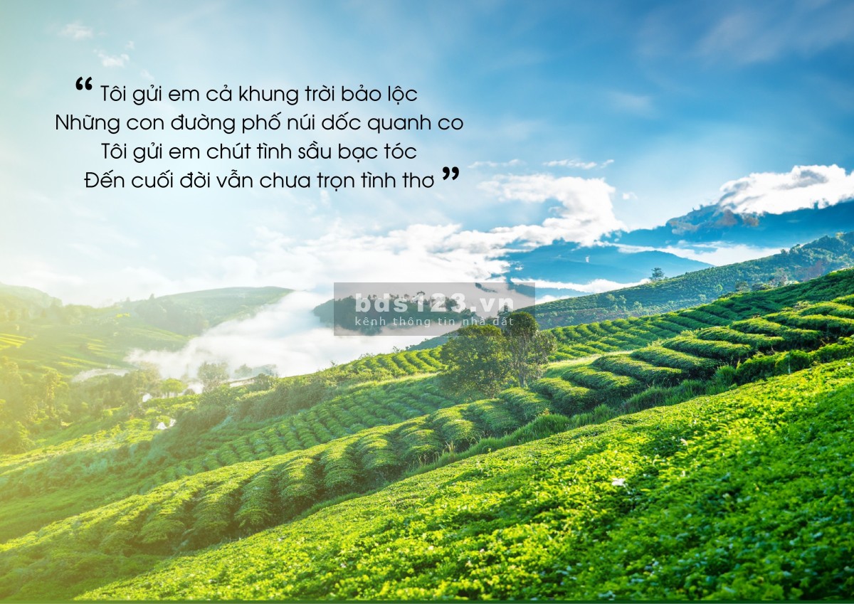 Bán đất khu biệt thự nghĩ dưỡng cao cấp Windy Hill