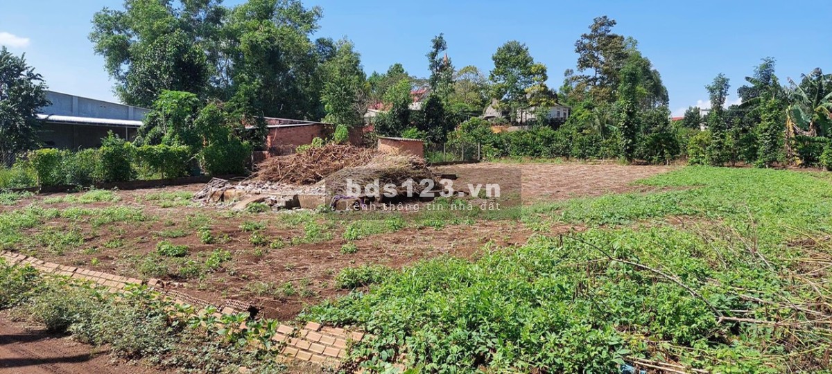 Đất nền KCN Dầu Giây đường DT 769.
