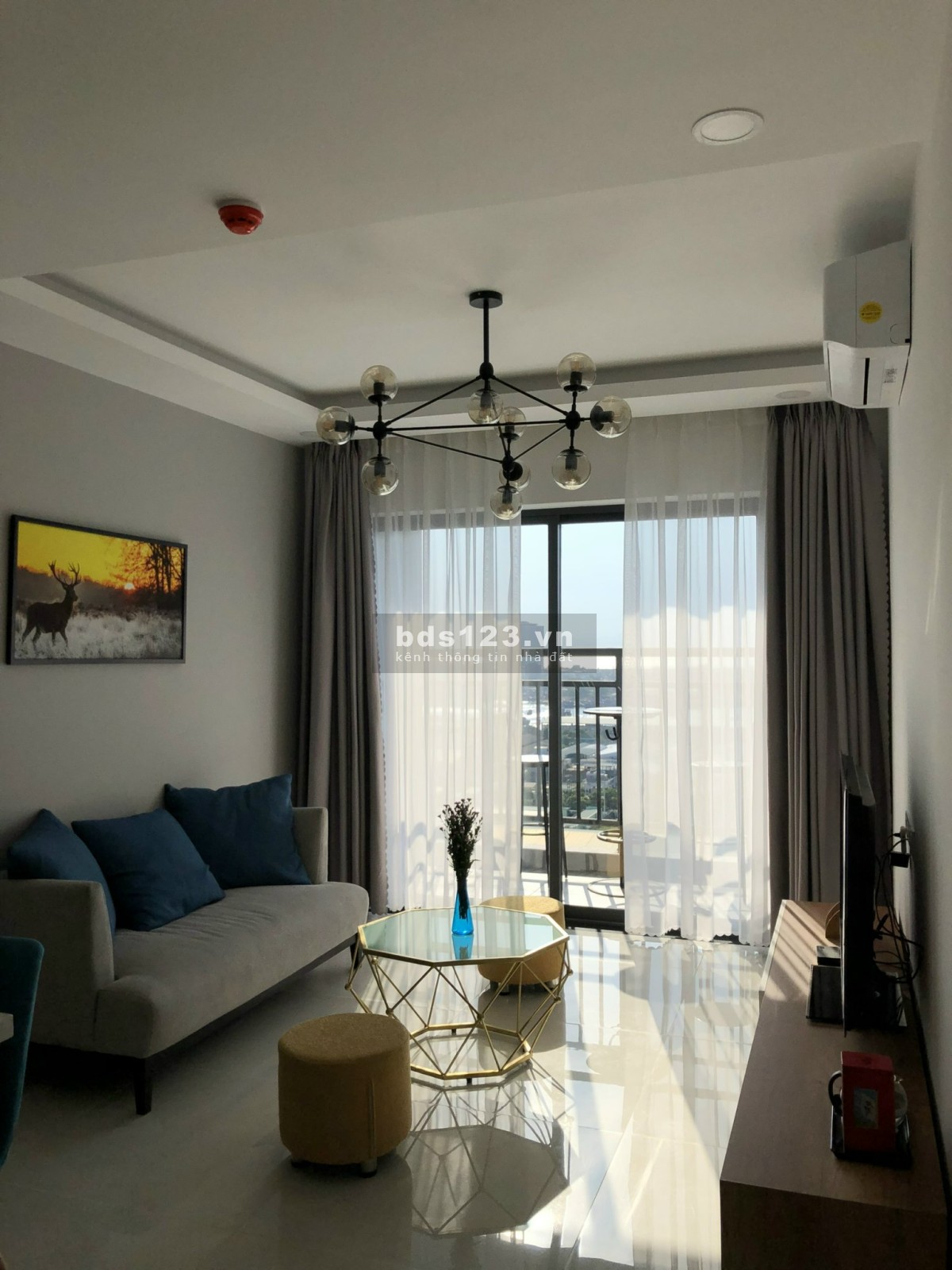 Cần bán căn hộ 1PN căn hộ Sơn Trà Ocean View giá tốt