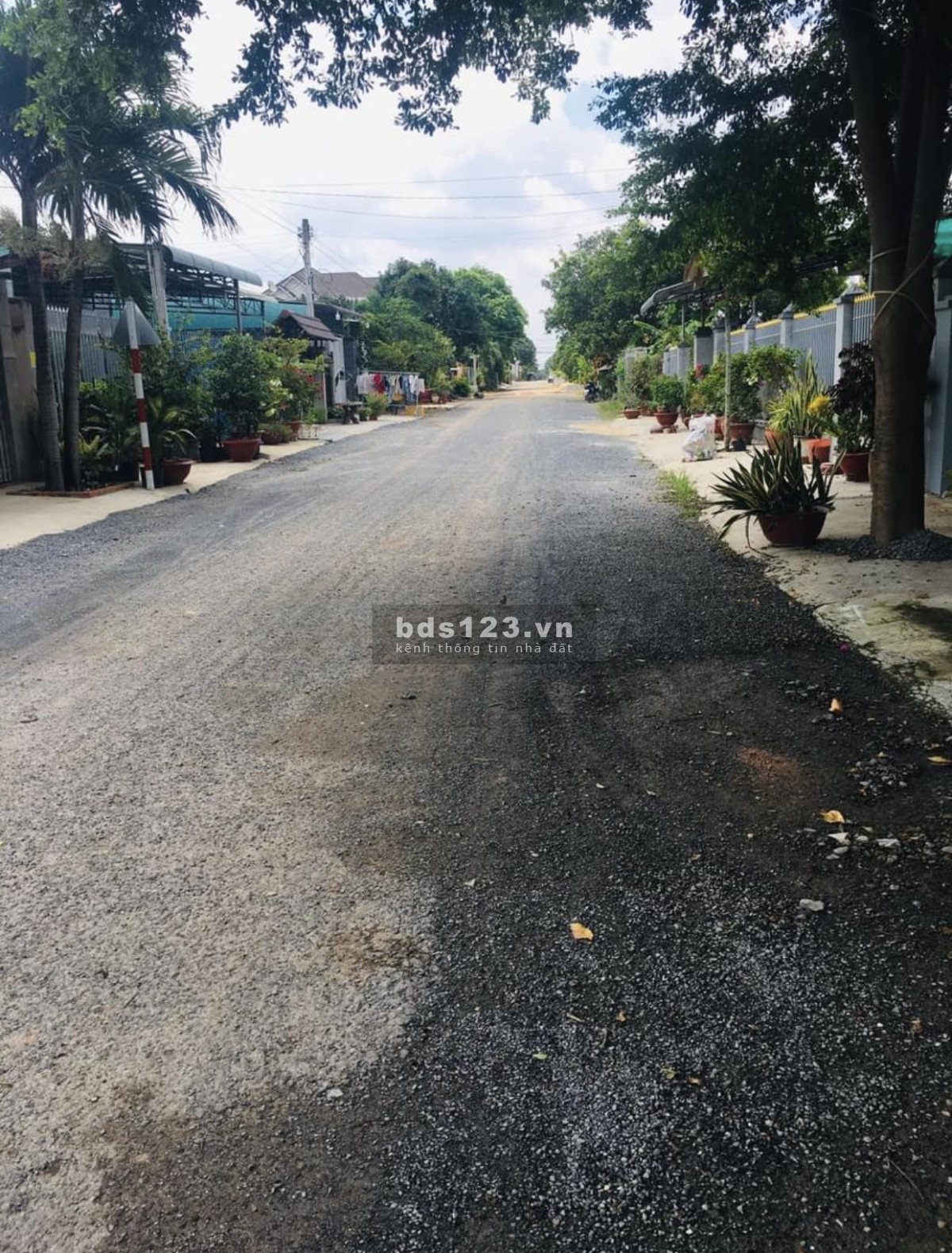 Bán nhanh đất 2 mặt tiền 186m2 620tr 1sẹc đường Liêu Bình Hưng , Củ Chi