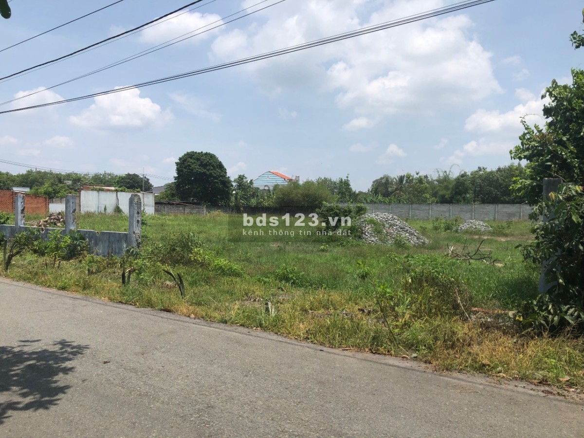 Bán lô đất đường Hoà Hưng 4, Khu phố Hoà Hưng, Phường An Hoà, Trảng Bàng, Tây Ninh