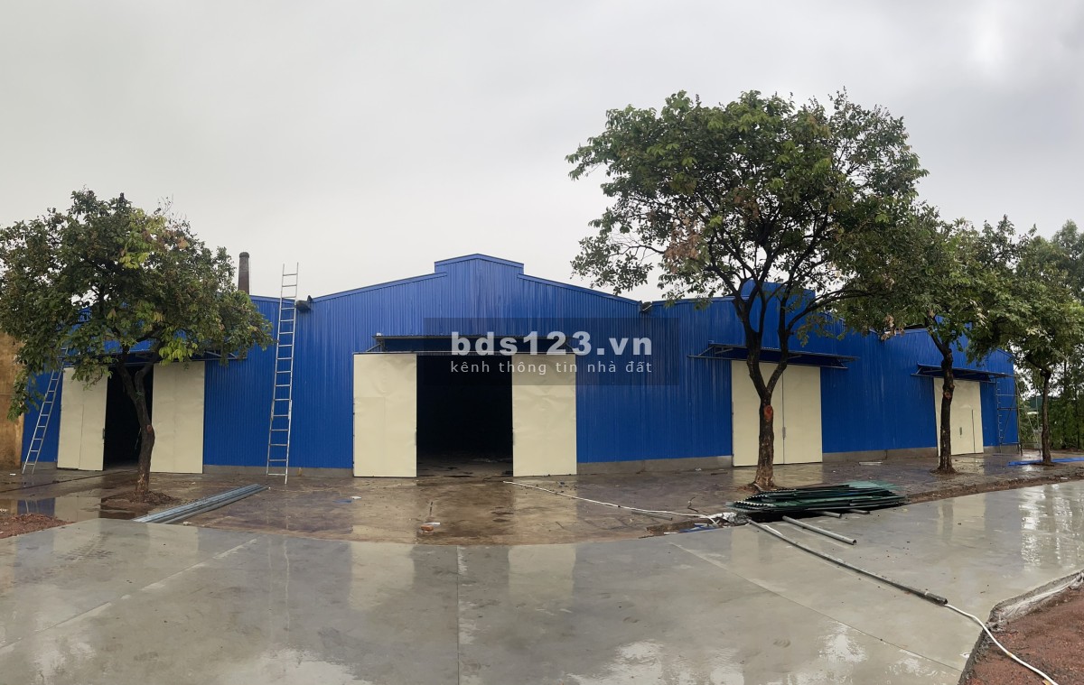 Cho thuê thuê kho xưởng gần cụm CN Trường An An Khánh Hoài Đức.