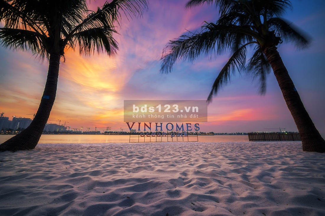 Chính chủ bán Shophouse xẻ khe Hải Âu 02-xxx Vinhomes Ocean Park. Giá 2x Tỷ. Liên hệ 0986812881