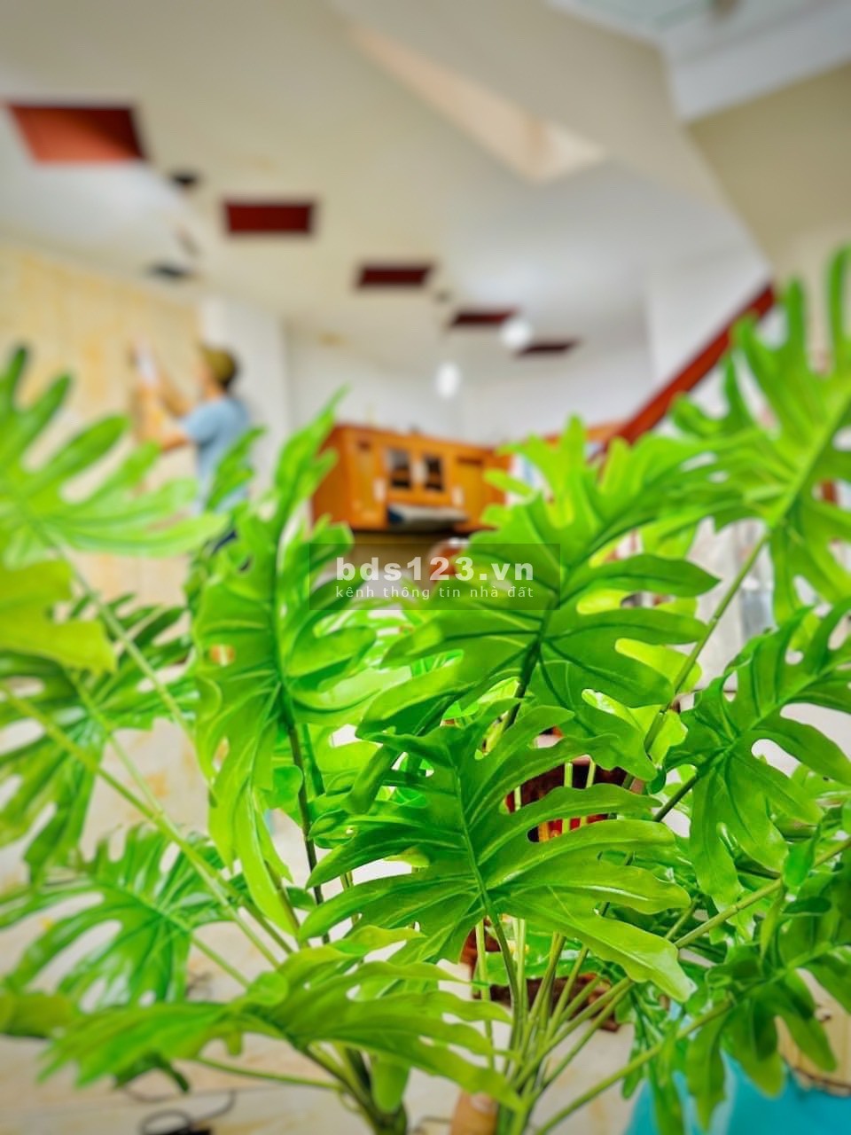 Nhà đẹp siêu đẹp,3/2, Phường 12, Q10, gần Vạn Hanh Mall, DT 50m2 giá 4 tỷ Lh 0901386173