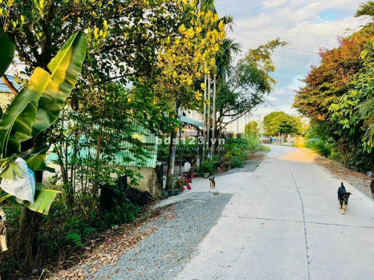 Bán đất 251m2, shr, 700tr, Nguyễn Thị Rành, Trung Lập Hạ, Củ Chi