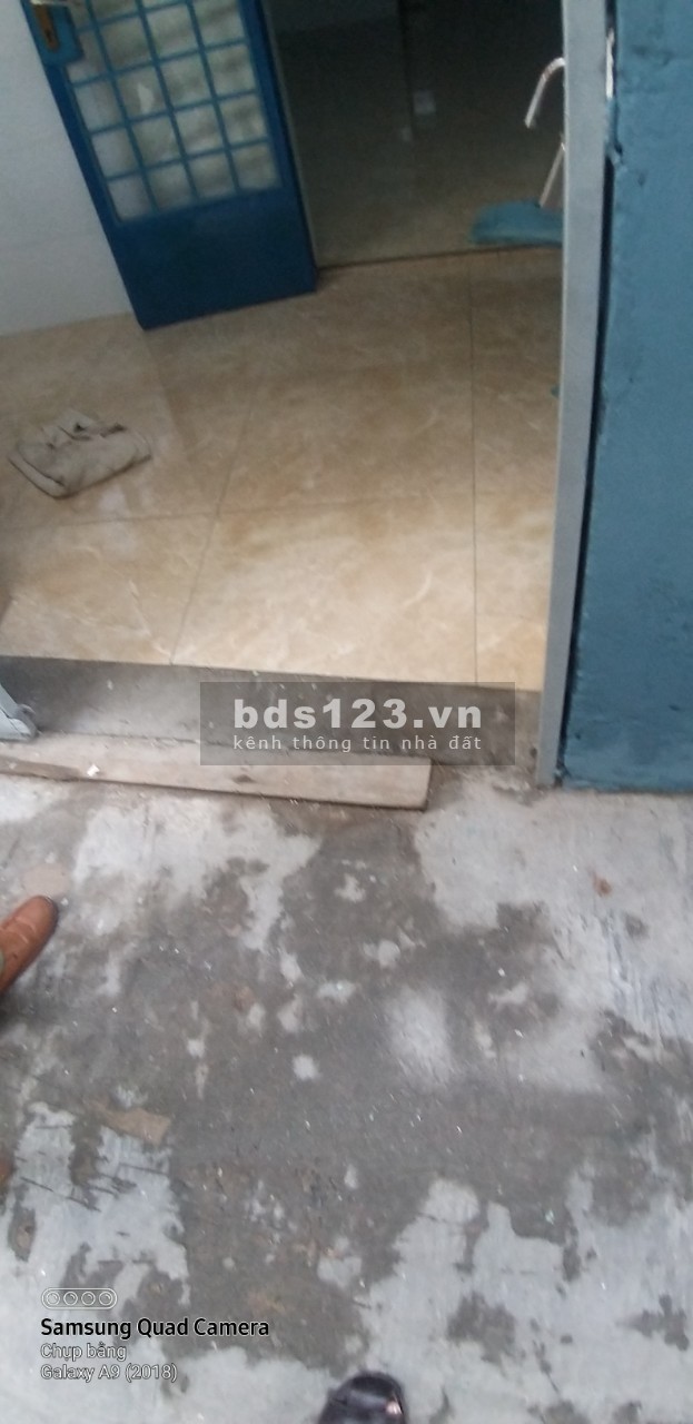 Cho thuê nhà nguyên căn đường Quang Trung, p 11, Gò Vấp