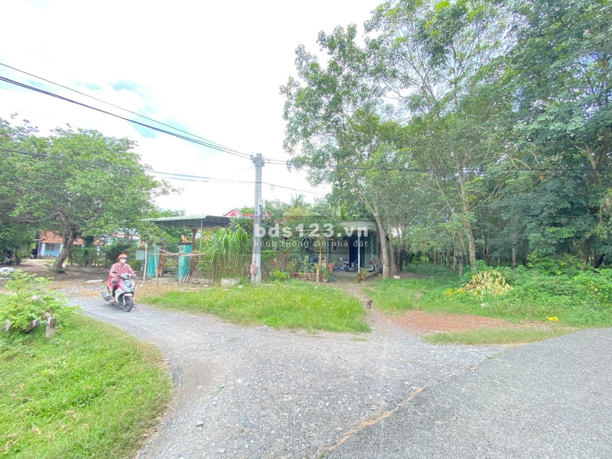 Bán đất full thổ shr 164m2 520tr ngay Trương Thị Kiện , Thái Mỹ , Củ Chi