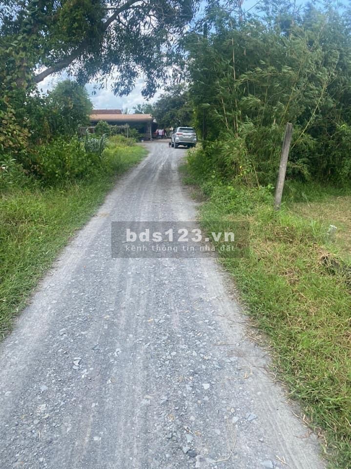 Bán gấp lô đất thổ 189m2 giá 570tr shr tại Ấp Chánh, Hiệp Thạnh, TN