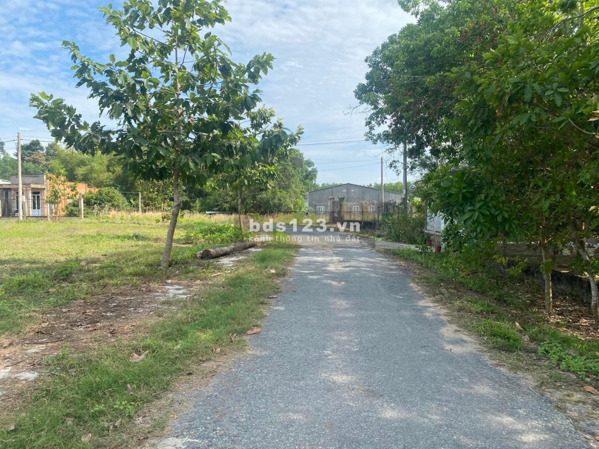 Bán gấp lô đất thổ 189m2 giá 570tr shr tại Ấp Chánh, Hiệp Thạnh, TN