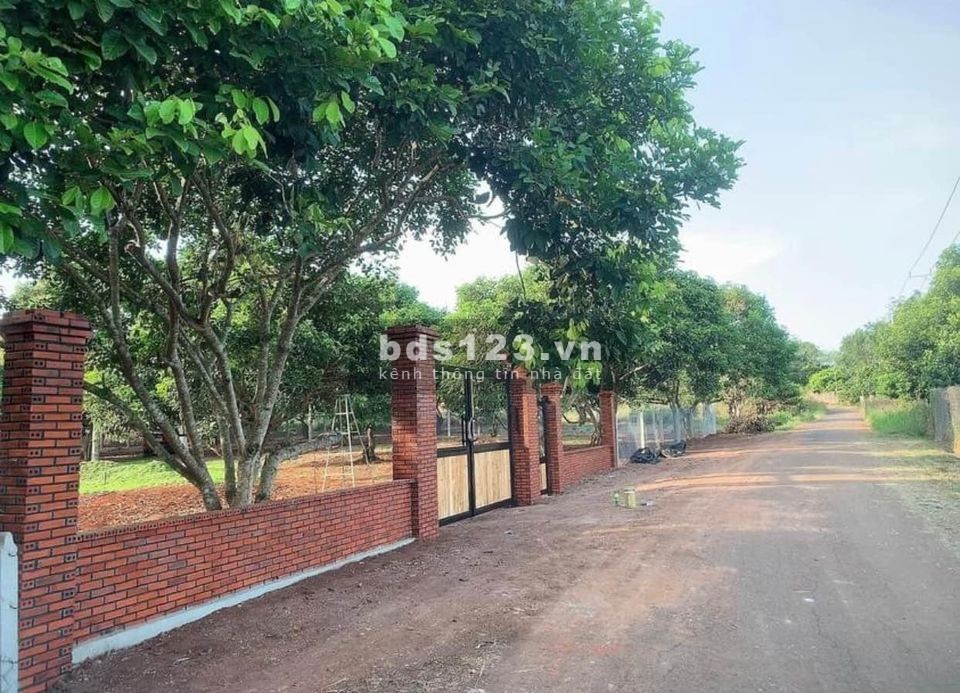 Đất thổ vườn đẹp DT 20x50m, đường thông, giá đầu tư, sổ hồng chính chủ