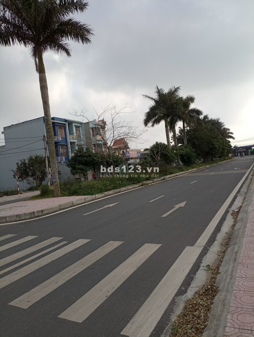 Chính chủ cần bán mảnh đất đẹp 95m tại đường Vũ Trọng, Thị trấn Tiền Hải, Thái Bình