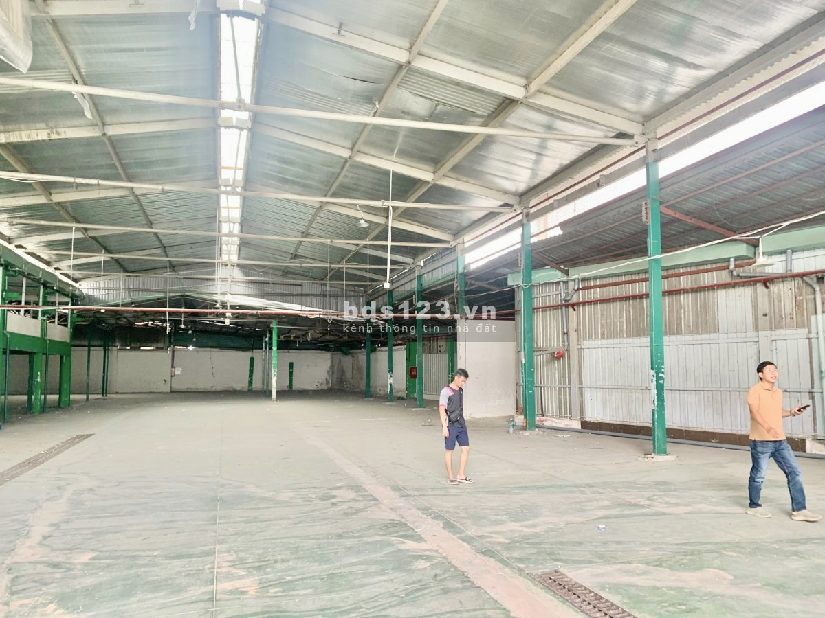 Chính chủ cho thuê kho, bãi mặt tiền Đường Số Tân Quy, Q7