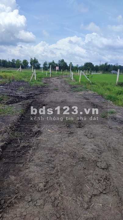 Cần bán hơn 500m2 đất vườn tỉnh lộ 7 , Phước Thạnh Củ Chi SHR Gía chốt 990TR