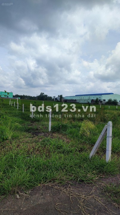 Cần bán hơn 500m2 đất vườn tỉnh lộ 7 , Phước Thạnh Củ Chi SHR Gía chốt 990TR
