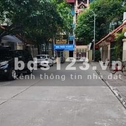 Biệt thự vườn đào có 102, nhà đẹp sang trọng, 100% là gỗ quý hiếm