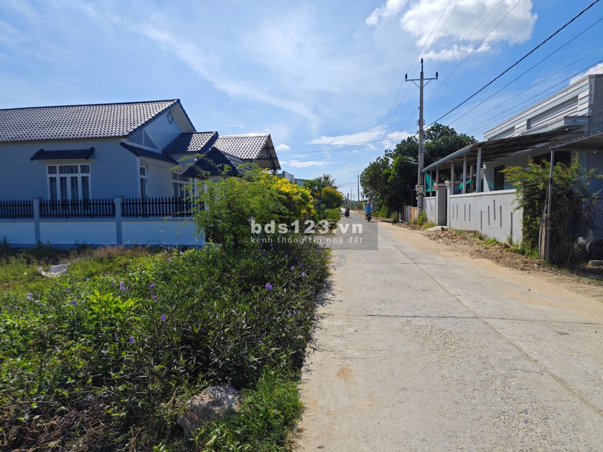 Nằm trên trục đường liên xã (QH: 29m), ngay trung tâm hành chính mới Xã Phước Thể, Tuy Phong.