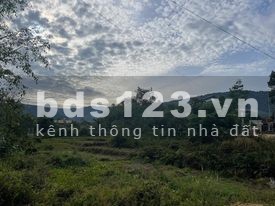 Tôi có nhu cầu muốn bán gấp đất tại xã Tạ Đông - Đam Rông - Lâm Đồng sổ tôi cầm sẵn