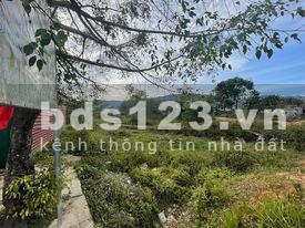 Tôi có nhu cầu muốn bán gấp đất tại xã Tạ Đông - Đam Rông - Lâm Đồng sổ tôi cầm sẵn