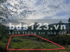 Tôi có nhu cầu muốn bán gấp đất tại xã Tạ Đông - Đam Rông - Lâm Đồng sổ tôi cầm sẵn