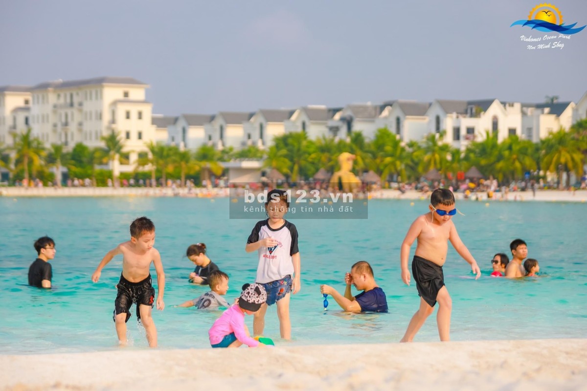 Bán cắt lỗ căn hộ 1PN+1 43m2 giá 1,25 tỷ, Nhà nguyên bản mới tinh tại Vinhomes Ocean Park, Gia Lâm