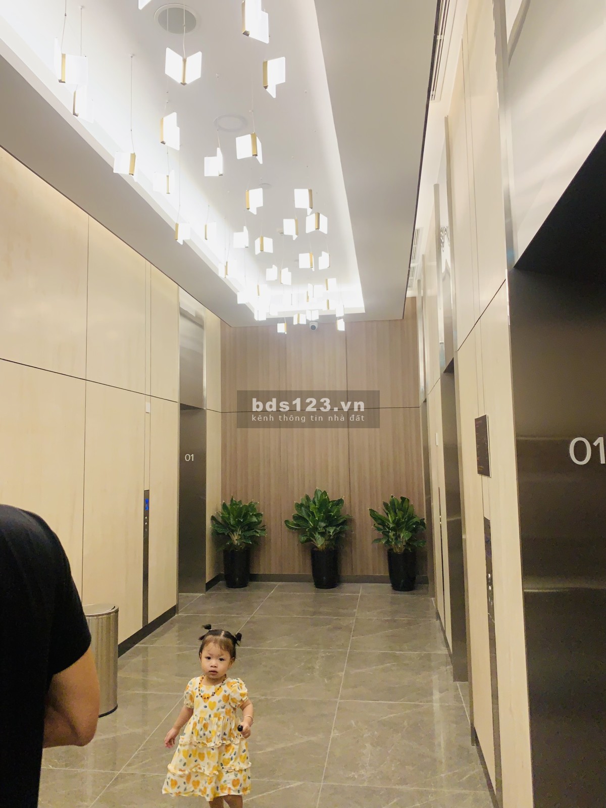 Cho thuê căn hộ 2n 2vs masterise waterfront, 12tr/tháng, free gym + bể bơi,...