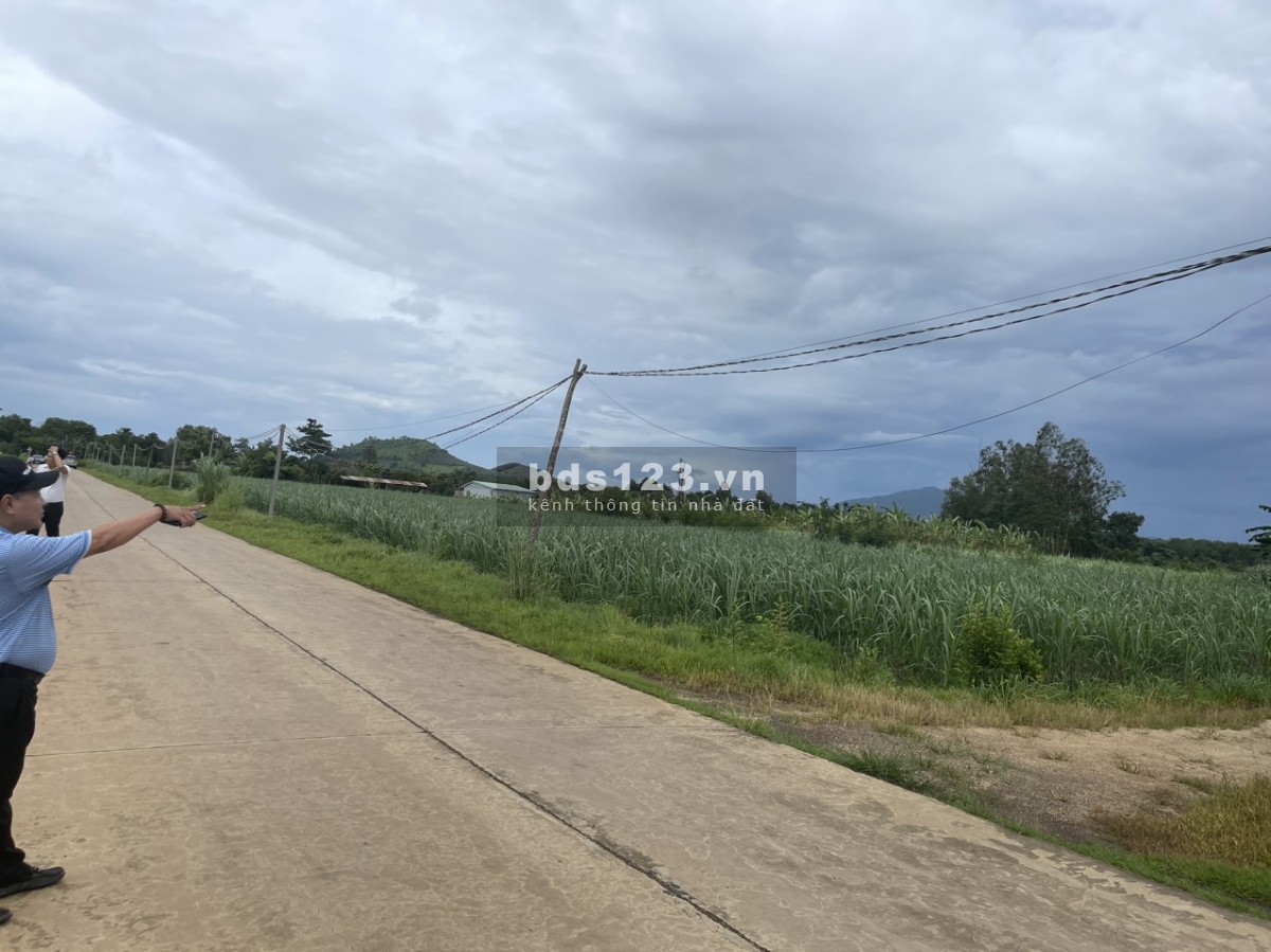 Cần bán 1 mẫu đất mặt tiền bê tông