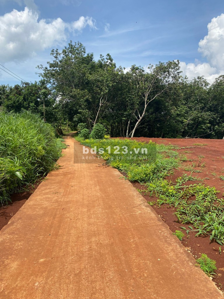 Bán đất giáp Thị Trấn Lộc Ninh, Bình Phước - Giá rẻ nhất thị trường