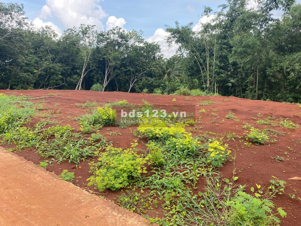 Bán đất giáp Thị Trấn Lộc Ninh, Bình Phước - Giá rẻ nhất thị trường