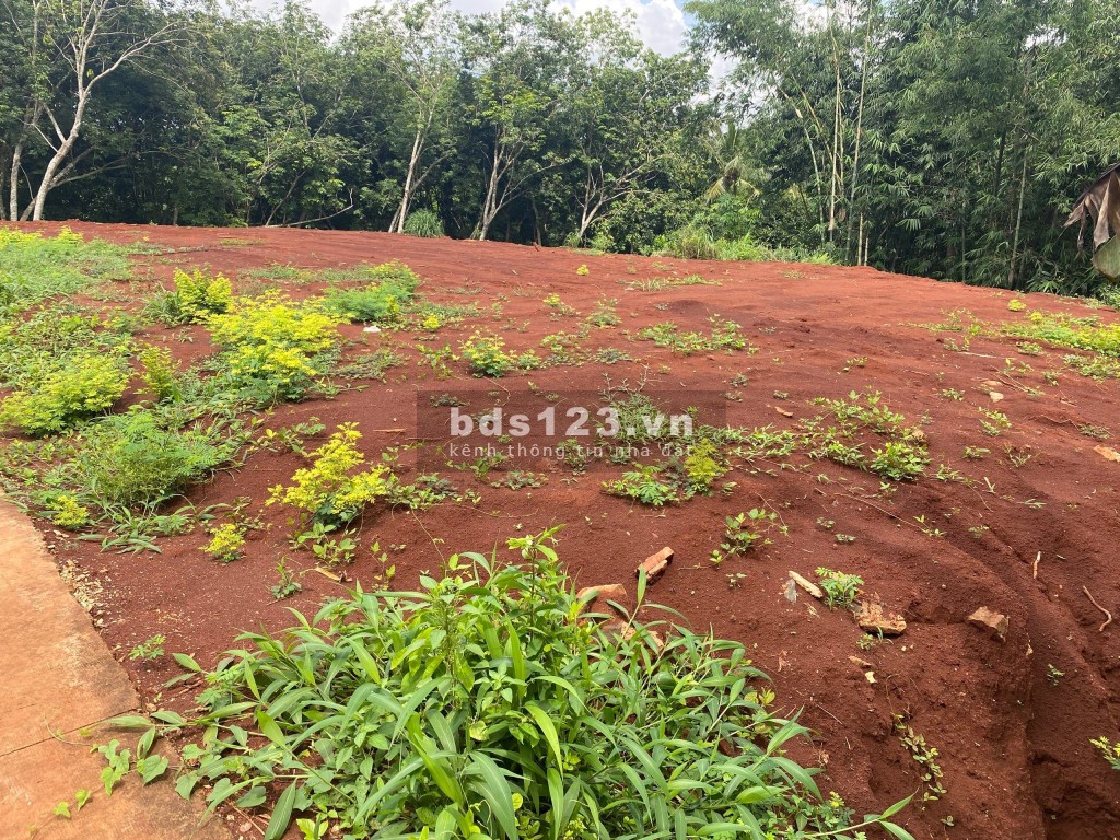 Bán đất giáp Thị Trấn Lộc Ninh, Bình Phước - Giá rẻ nhất thị trường