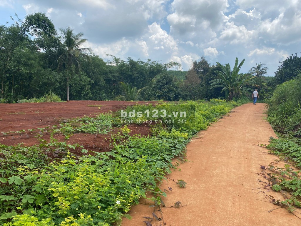Bán đất giáp Thị Trấn Lộc Ninh, Bình Phước - Giá rẻ nhất thị trường
