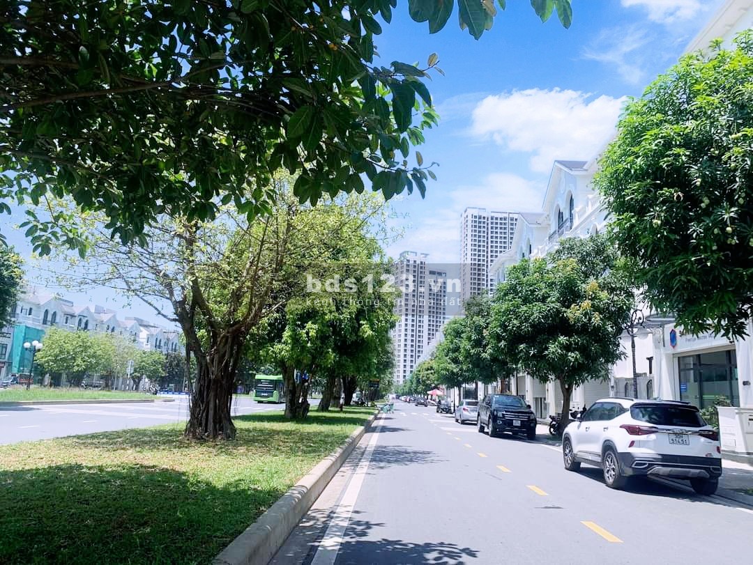LK Shophouse đường 52m VIP nhất Vinhomes Ocean Park - Vừa ở vừa KD, sổ lâu dài - Giá cực RẺ