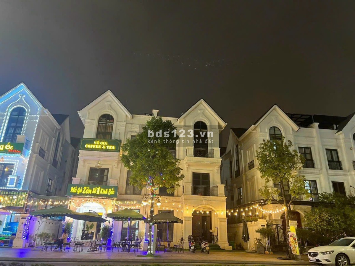 Quỹ căn biệt thự song lập - Vinhomes Ocean Park - Gia Lâm (giá đầu tư) - 090.345.8166