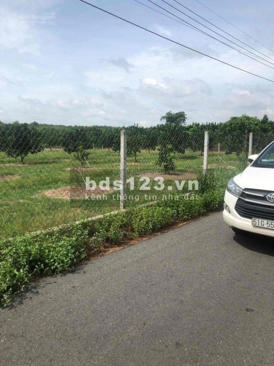 Chính chủ cần bán 1000m2 vườn bưởi, sổ sẵn giá chỉ 578 triệu tại - Bình Dương