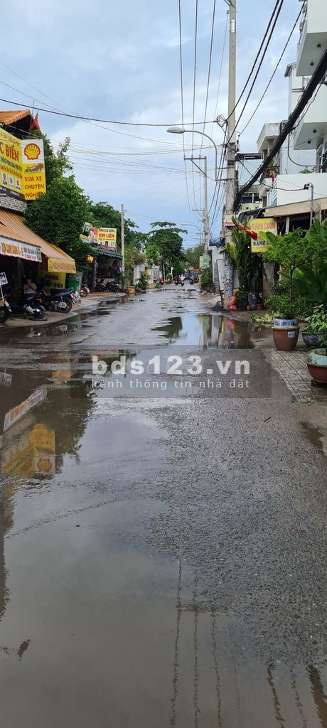Cho thuê đất trồng lâu dài, chính chủ