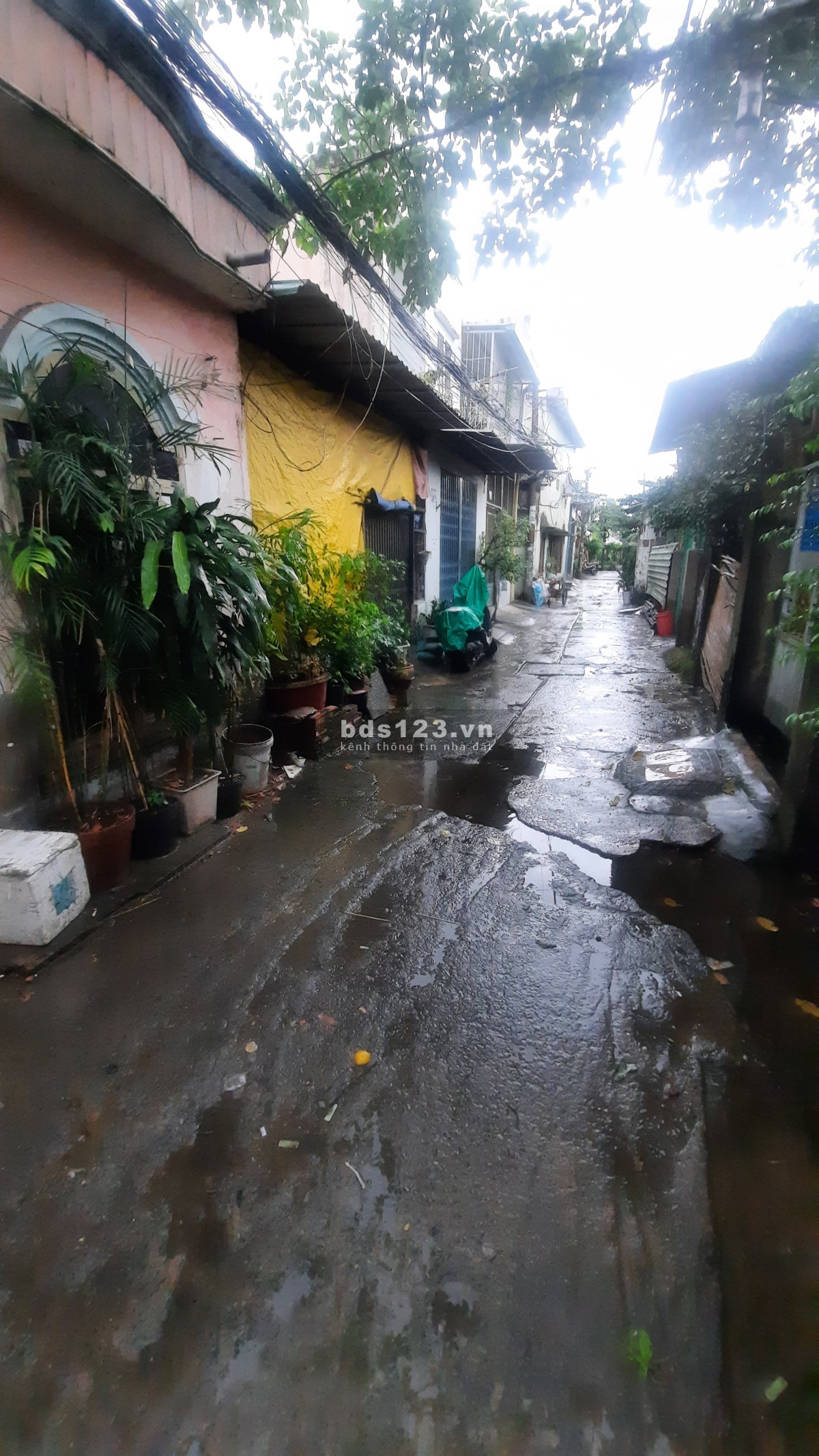 Bán or cho thuê gấp nhà cấp 4 đường Quang Trung, Phường 14, Gò Vấp