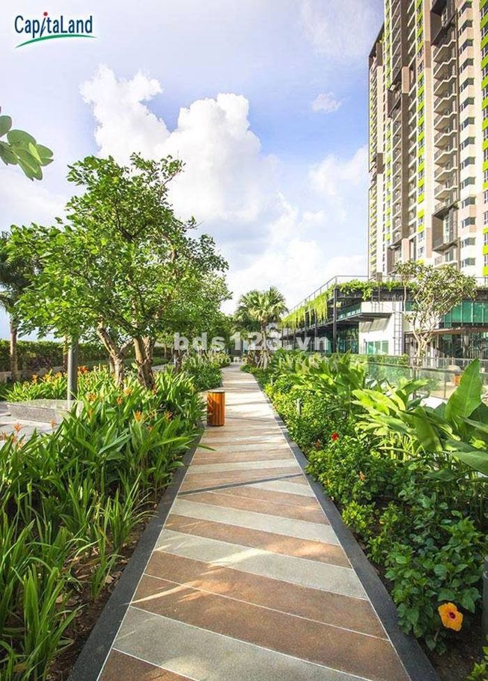 Tìm nữ ở ghép căn duplex đẹp và đầy đủ nội thất