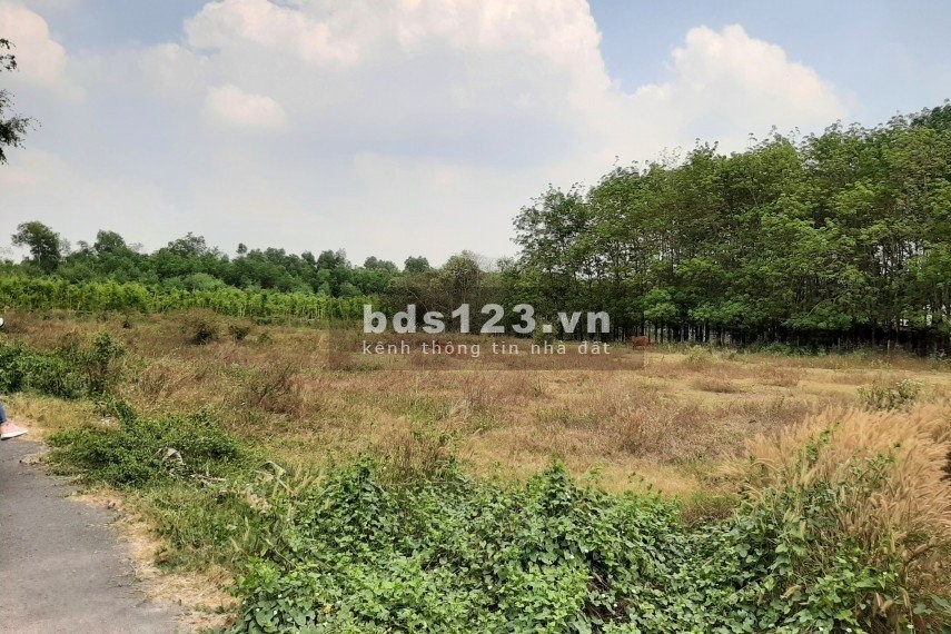 Cần bán lô đất 10.005m2 mặt tiền đường nhựa762, thổ cư 1000m An Nhơn Tây, Củ Chi