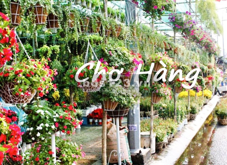Bán lô đất 350m2 mặt đường Chợ Hàng, Lê Chân, Hải Phòng - Diện tích lớn chỉ 52 triệu/ m2