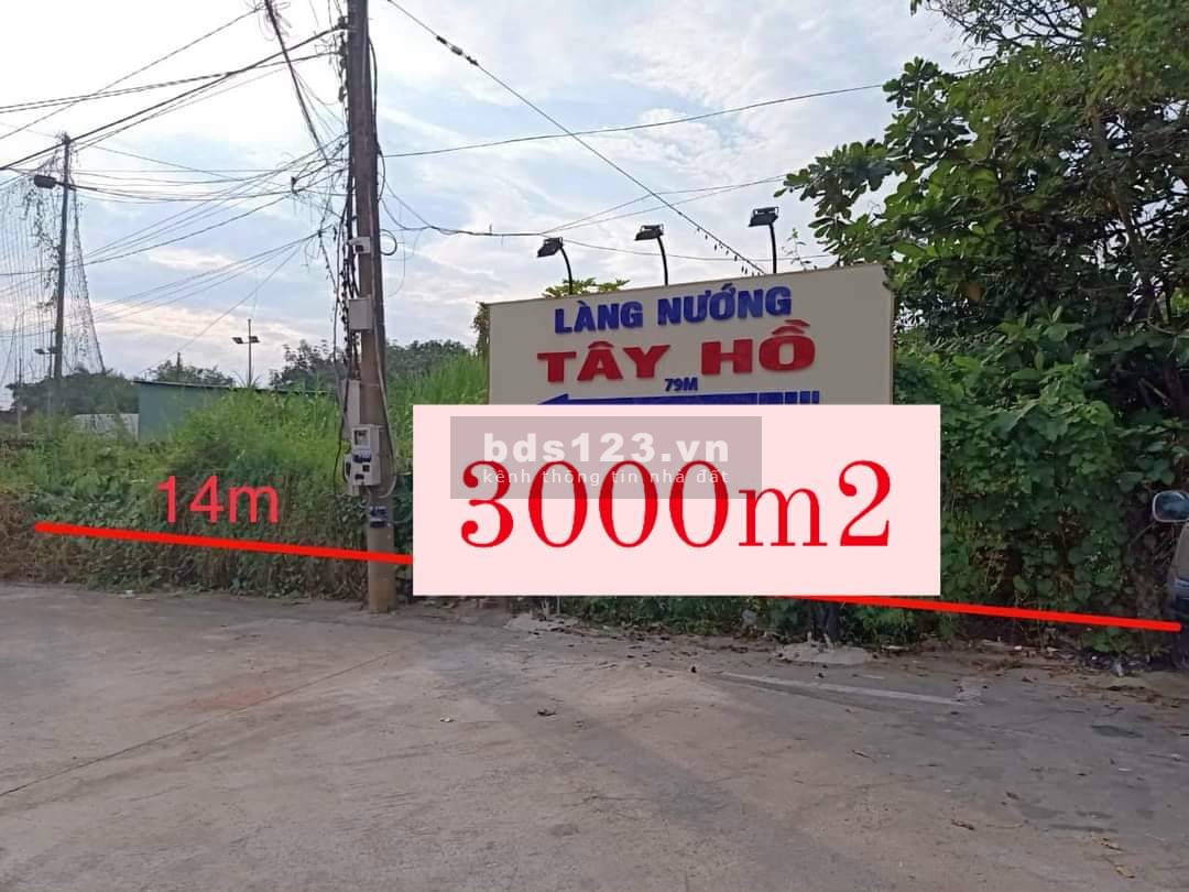 Đất cho thuê. Diện tích 3.000m2 (Nở hậu). Đc: đường Huỳnh Văn Cù, p.Chánh Mỹ, tp. TDM, tỉnh BD