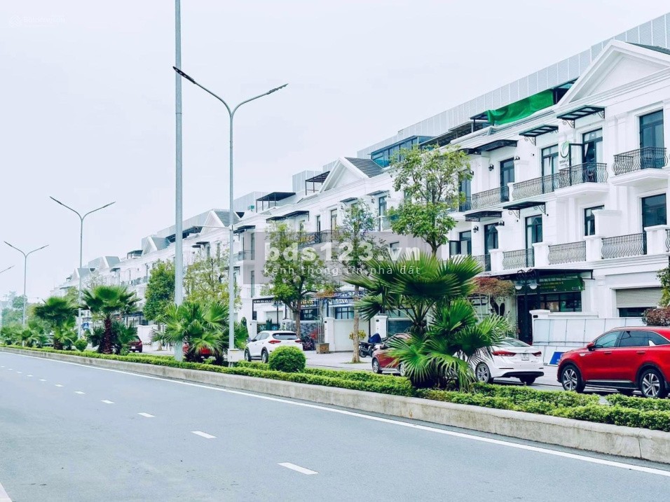 Qũy căn chuyển nhượng shophouse, biệt thự tại dự án Vinhomes OCean Park Gia Lâm, Hà Nội tháng 9.2023