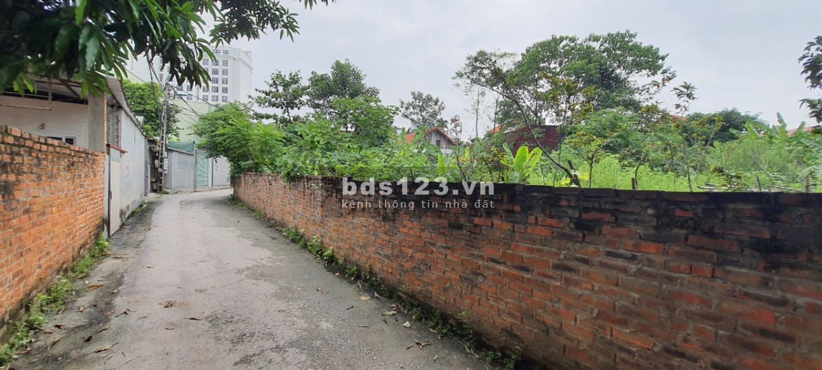 Cho thuê lô góc 2 mặt tiền tại Liên Bảo. DT 219m2