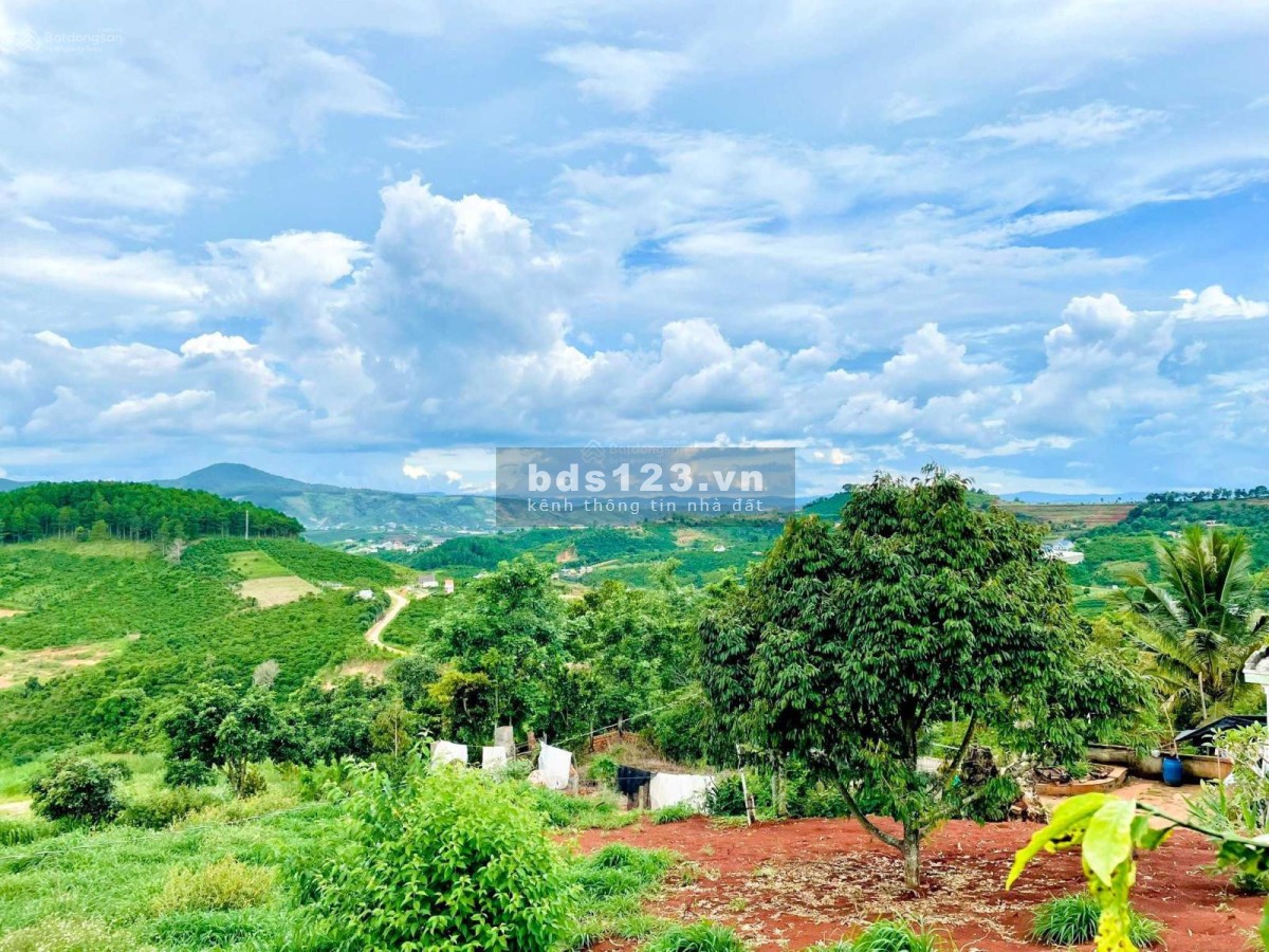 Chính chủ ngộp, cần bán gấp trong tháng, sổ hồng riêng