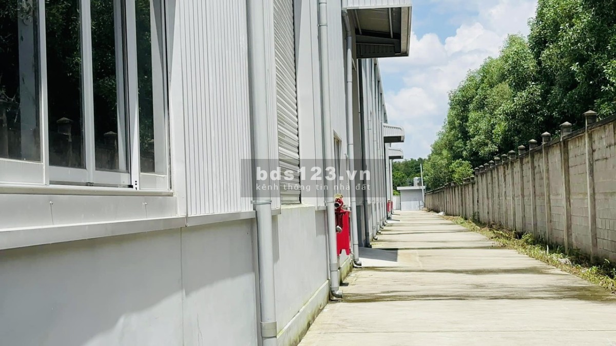 Cho thuê nhà xưởng Bình Dương diện tích lớn 12000 giá 350 triệu/tháng