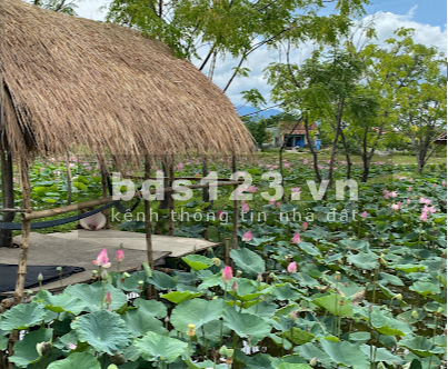 Đất Điện Tiến , view đầm sen giá mềm mại