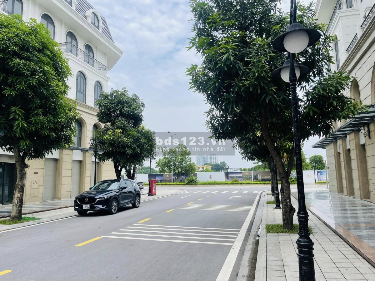 Chính chủ bán cặp Shophouse 181.4m2 RẺ nhất Vinhomes Ocean Park