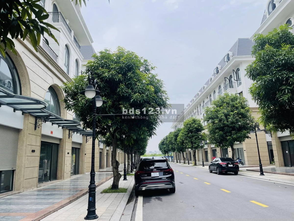 Chính chủ bán cặp Shophouse 181.4m2 RẺ nhất Vinhomes Ocean Park