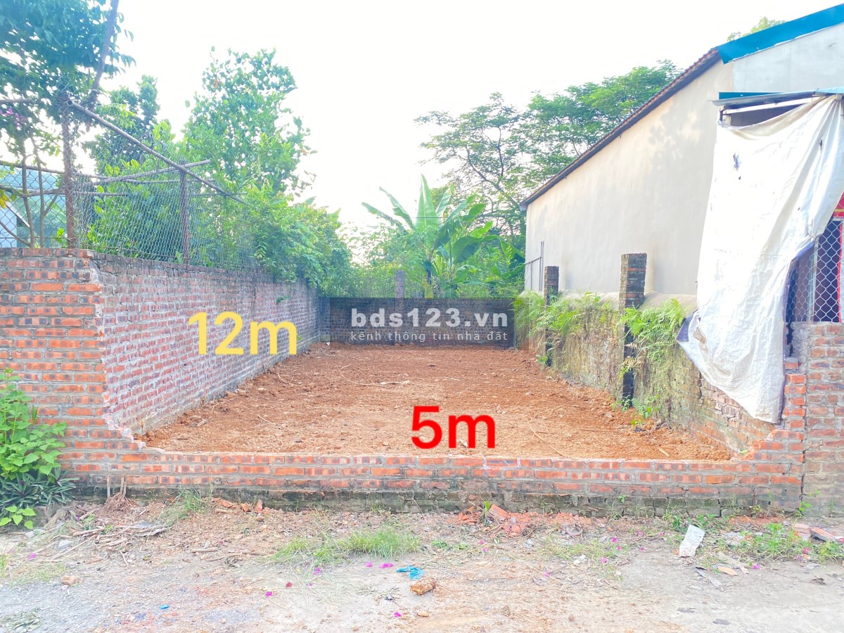 Bán gấp 60,9M2 thôn 2 Thạch Hòa cách ĐH quốc gia 900M giá chỉ 750 triệu