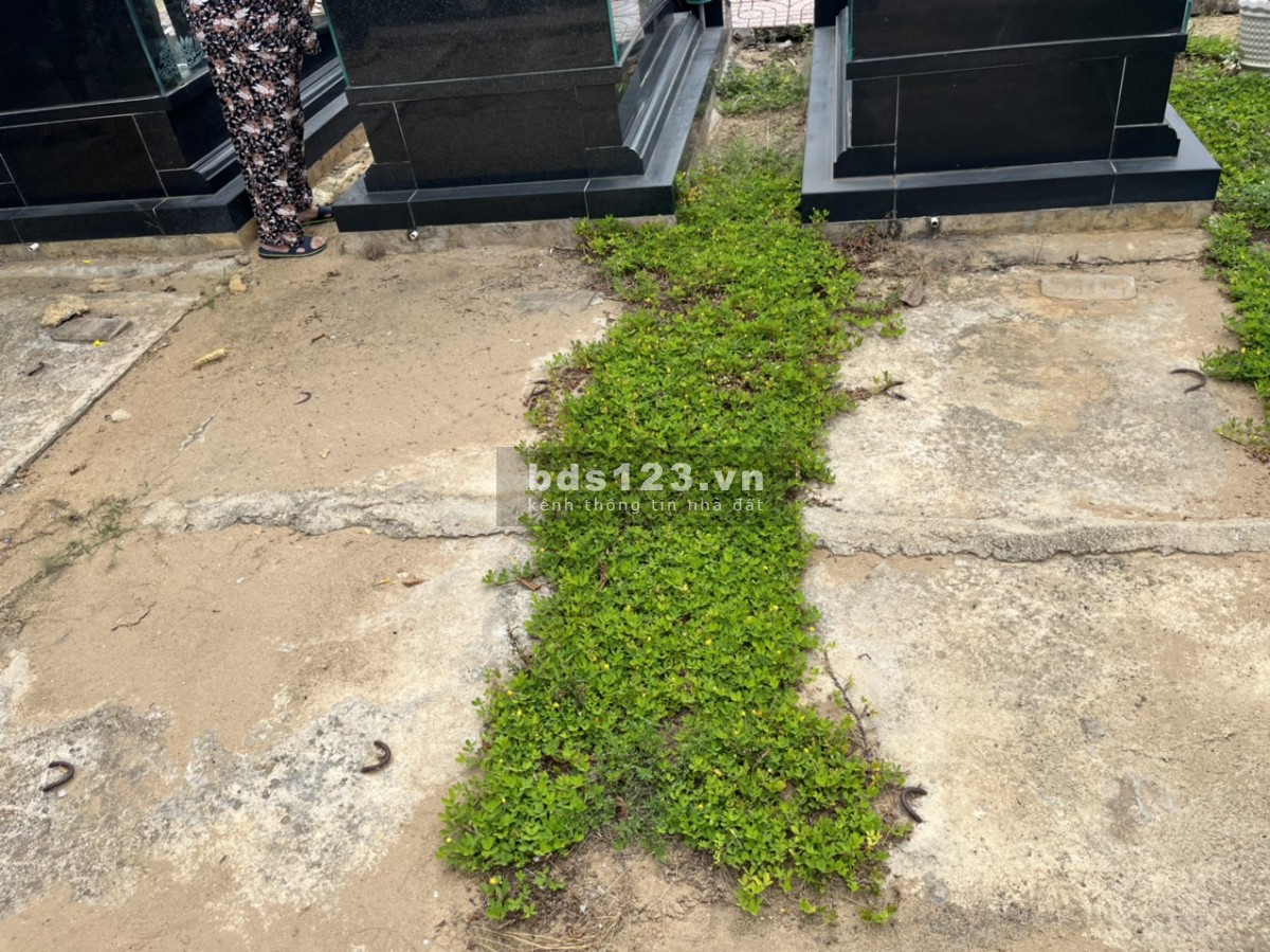 Bán khu mộ gia tộc tại nghĩa trang Phúc An Viên Quận 9